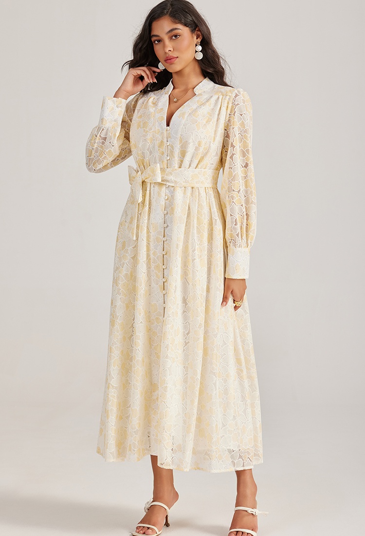 Pure single-breasted long dress lace long sleeve dress