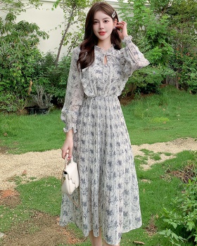Slim printing chiffon pinched waist dress for women
