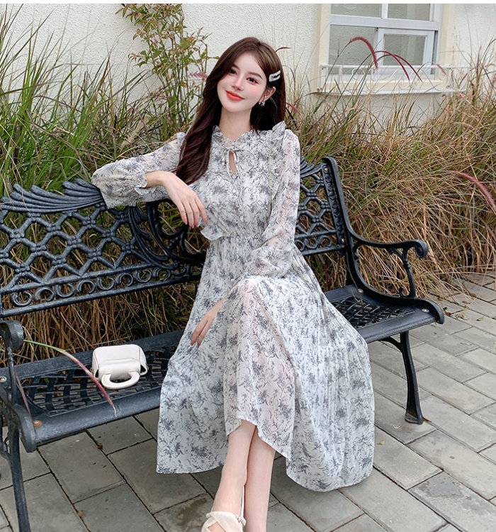 Slim printing chiffon pinched waist dress for women