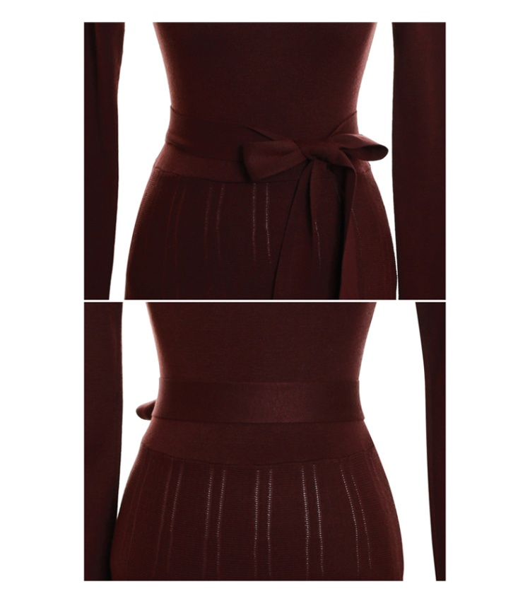 Frenum slim sweater dress long high collar dress
