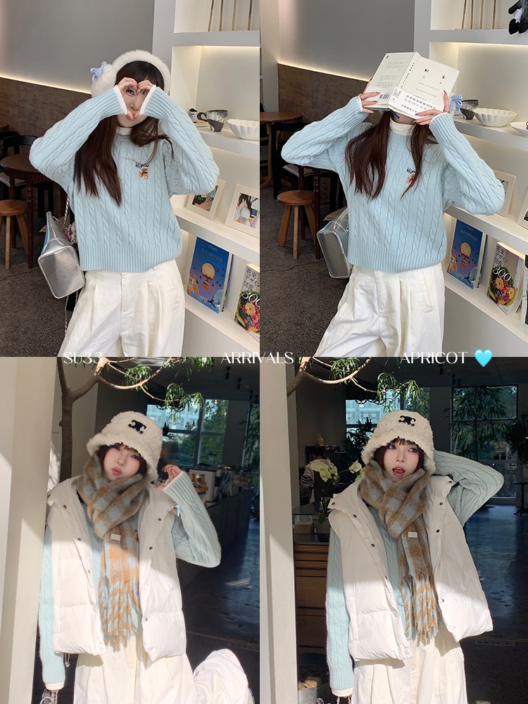 Autumn and winter embroidery sweater lazy tops for women