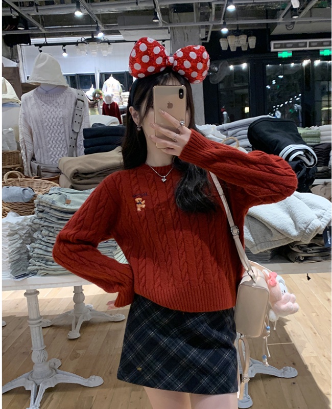 Autumn and winter embroidery sweater lazy tops for women