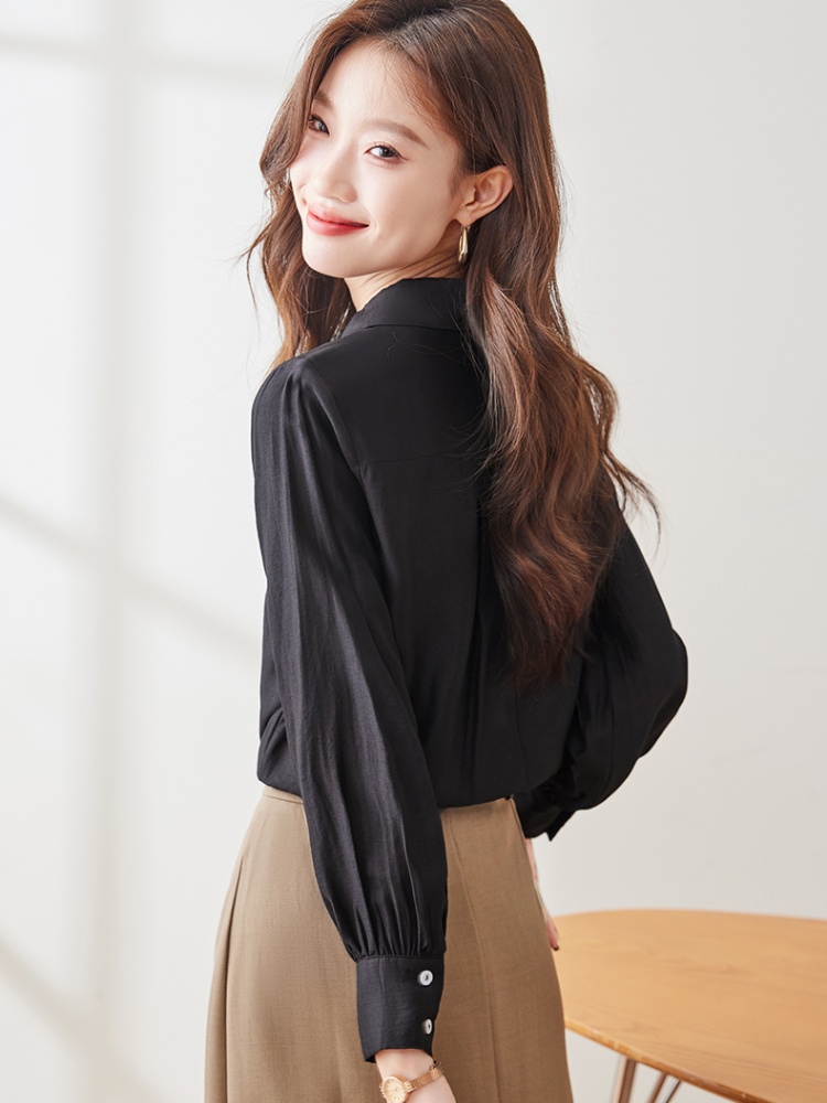 Profession slim all-match autumn temperament shirt