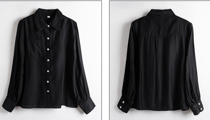 Profession slim all-match autumn temperament shirt