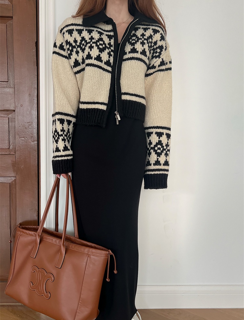 Jacquard winter coat show young sweater for women