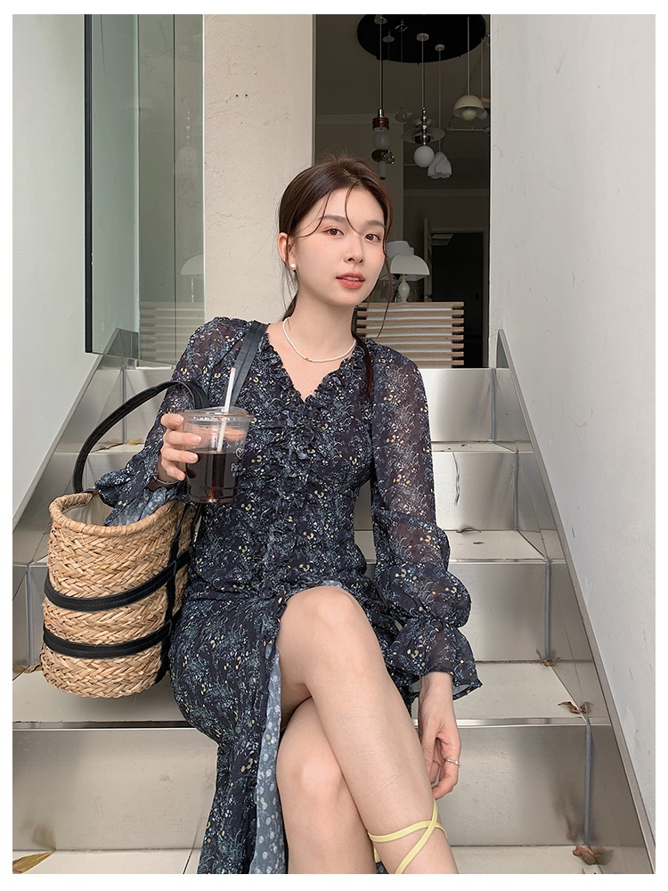 Long sleeve chiffon fold romantic France style floral dress