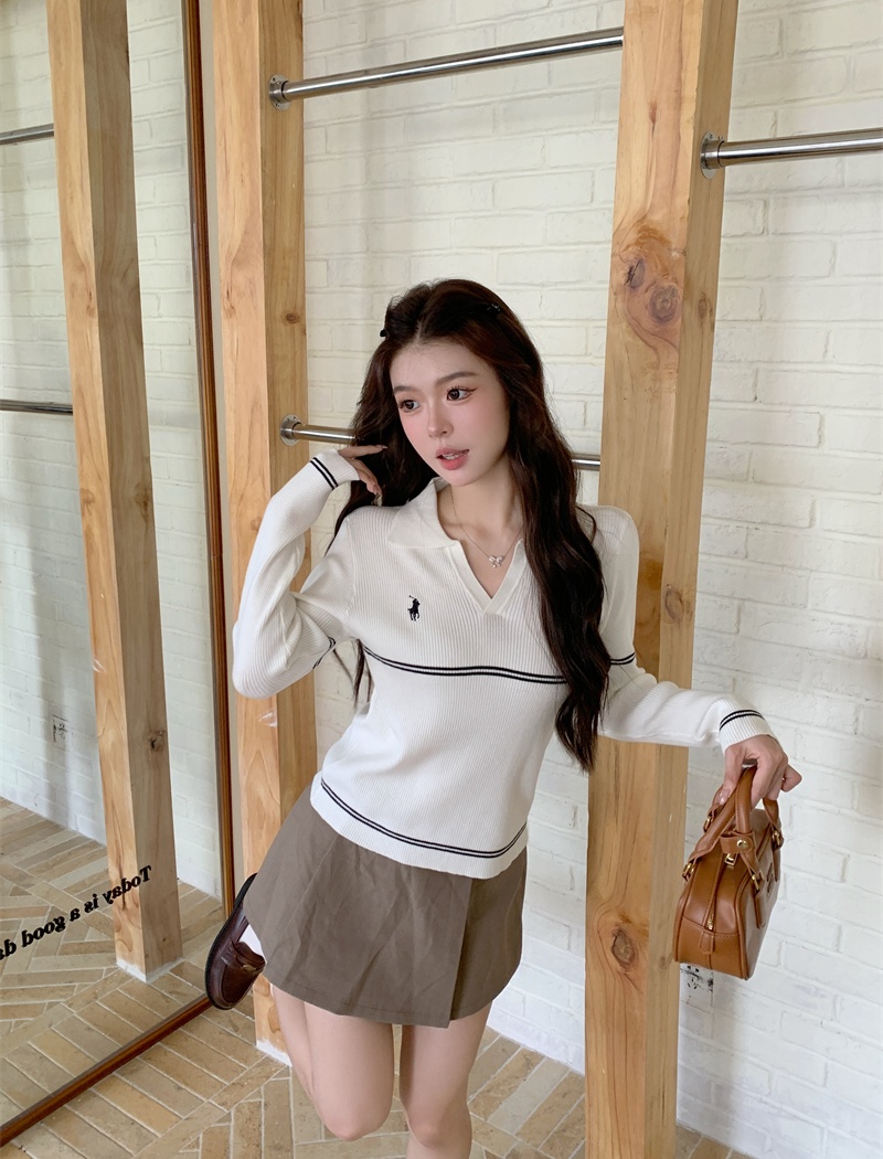 Pure embroidery autumn sweater simple pullover all-match tops