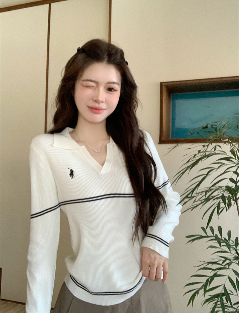 Pure embroidery autumn sweater simple pullover all-match tops