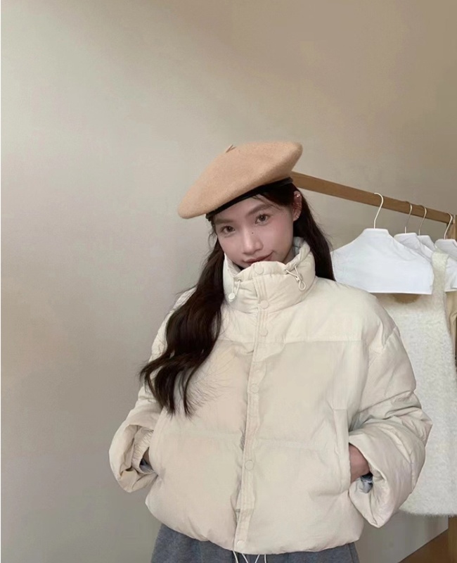 Thermal cstand collar short cotton coat heal down coat