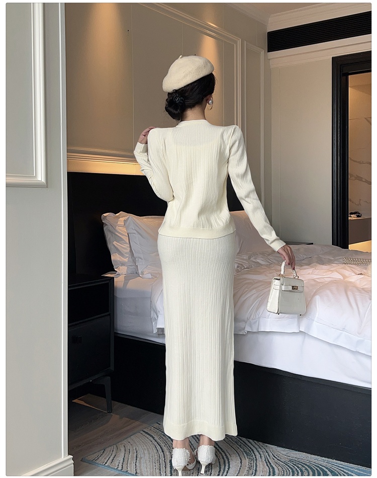 Temperament dress tender cardigan 2pcs set for women