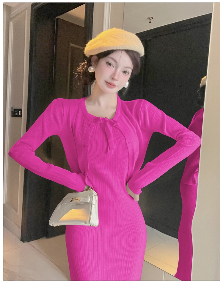 Temperament dress tender cardigan 2pcs set for women