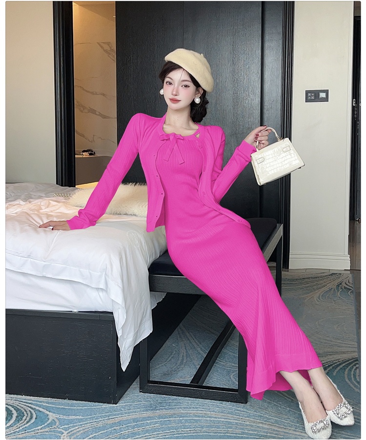 Temperament dress tender cardigan 2pcs set for women