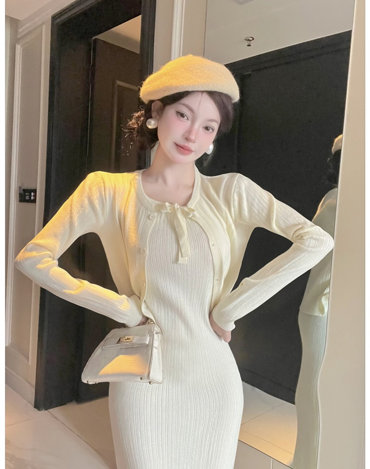 Temperament dress tender cardigan 2pcs set for women