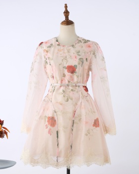 Niche silk pinched waist flax printing dress