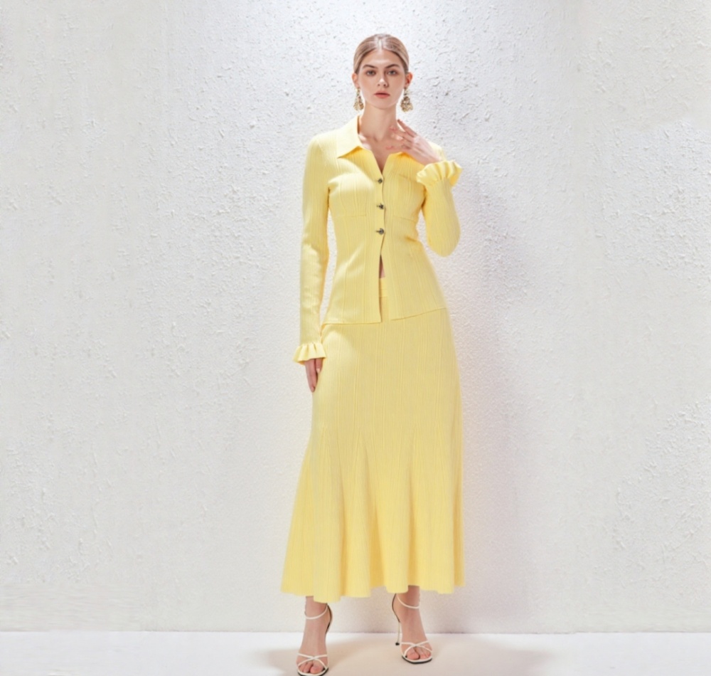 Mermaid long sleeve skirt long autumn and winter dress a set
