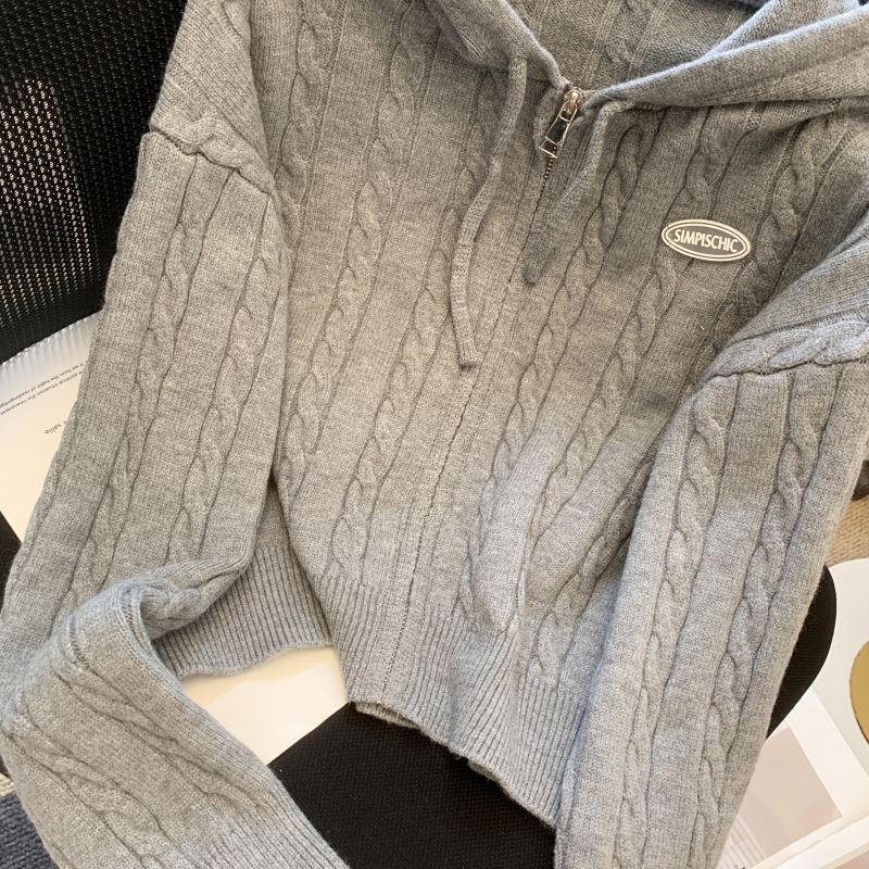 Long sleeve autumn and winter jacket hooded sweater