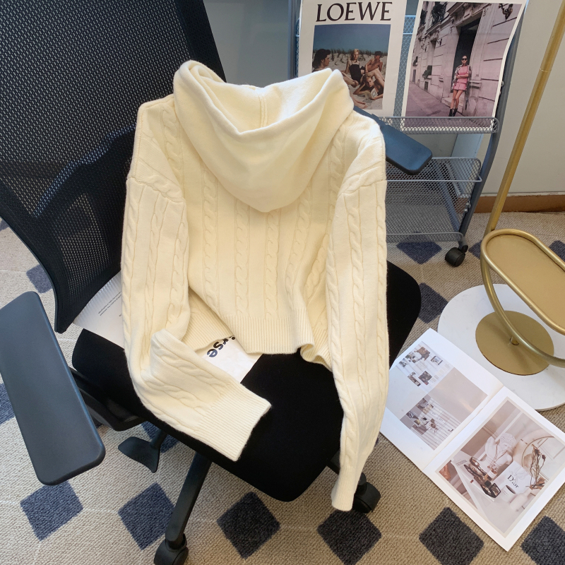 Long sleeve autumn and winter jacket hooded sweater