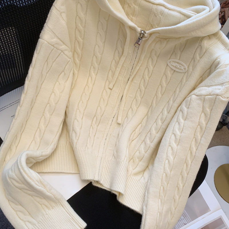 Long sleeve autumn and winter jacket hooded sweater