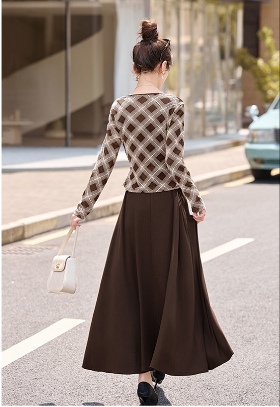 Elegant spring and autumn skirt 2pcs set for women