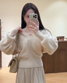 Autumn and winter wears outside France style sweater for women
