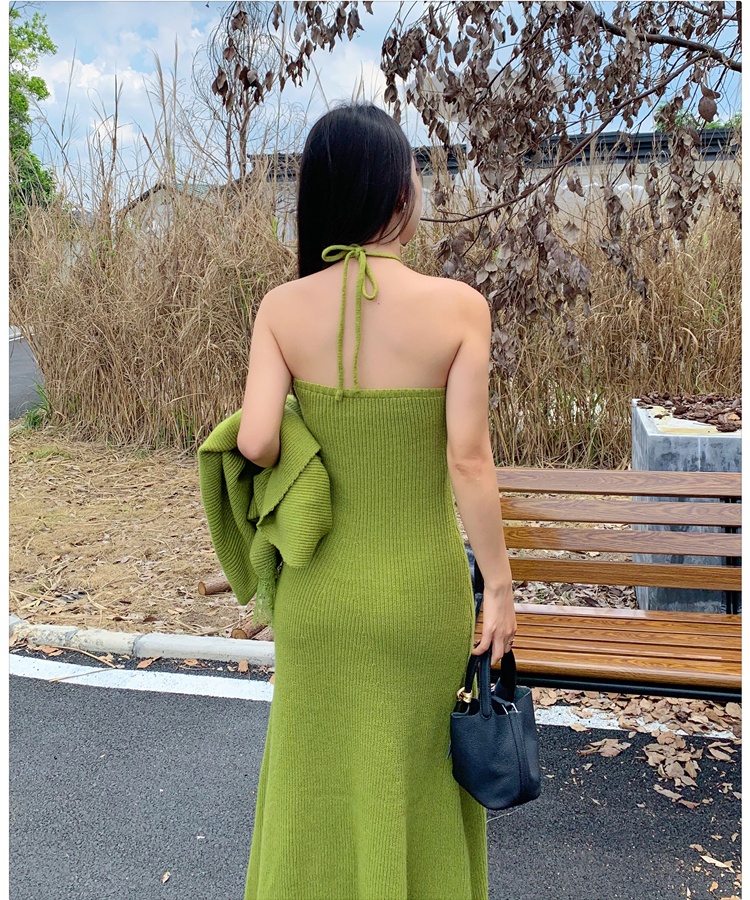 Long flowers shawl temperament dress a set