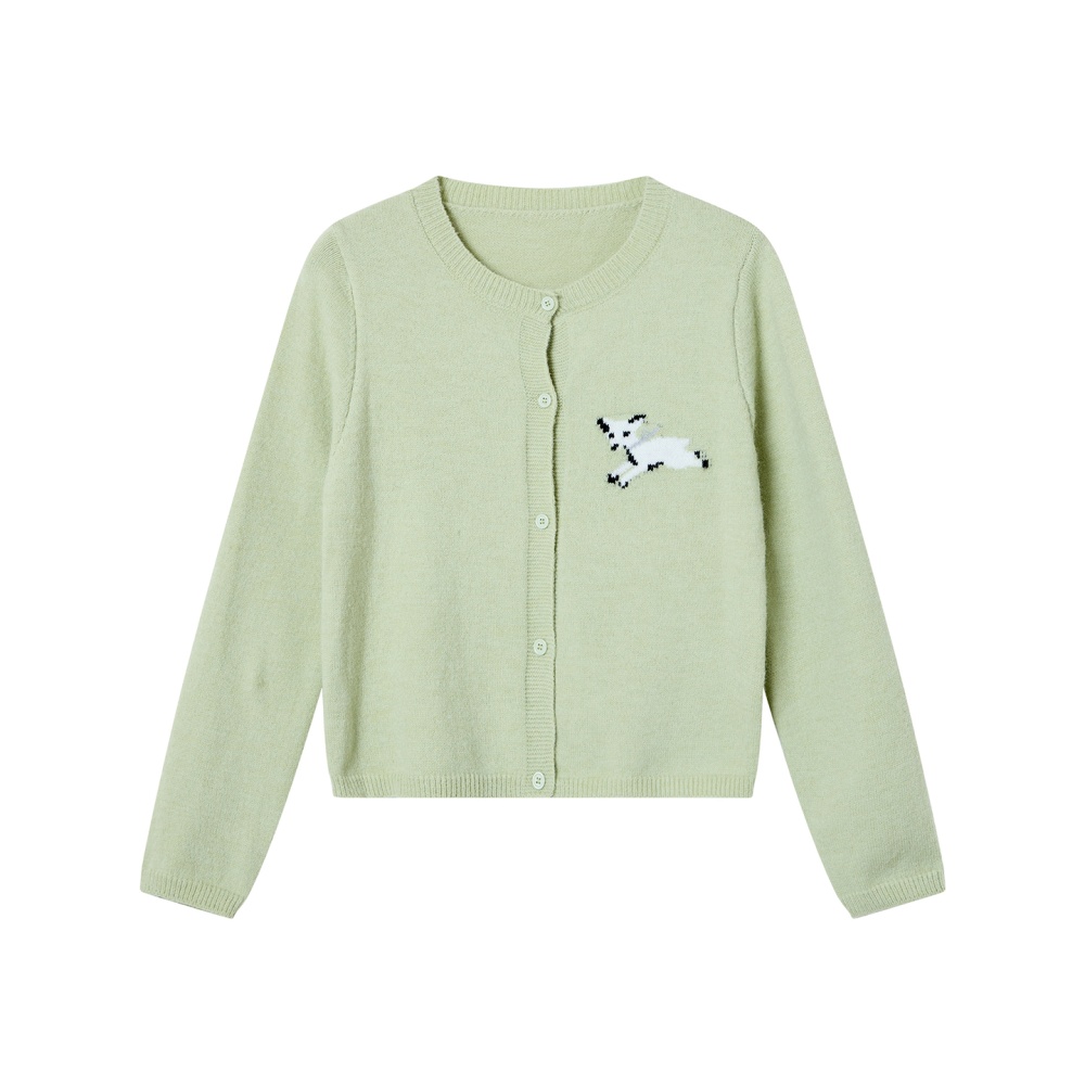 Round neck embroidery cardigan college style tops