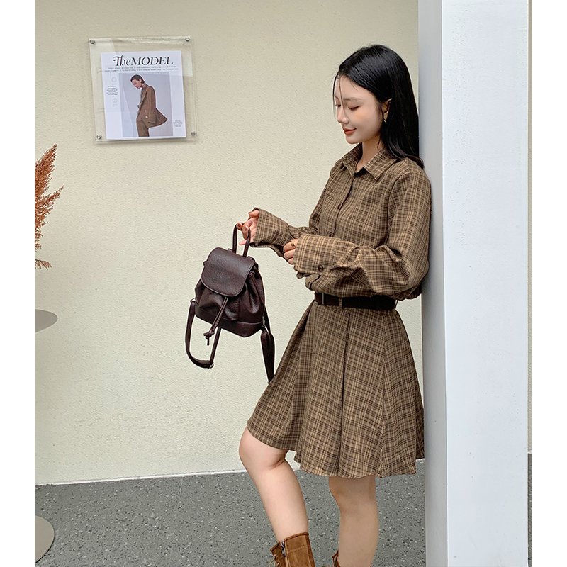 Long sleeve shirt loose dress for women
