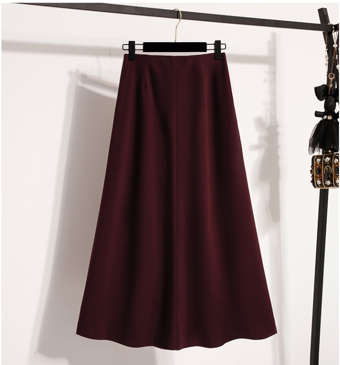 Autumn and winter business suit all-match skirt