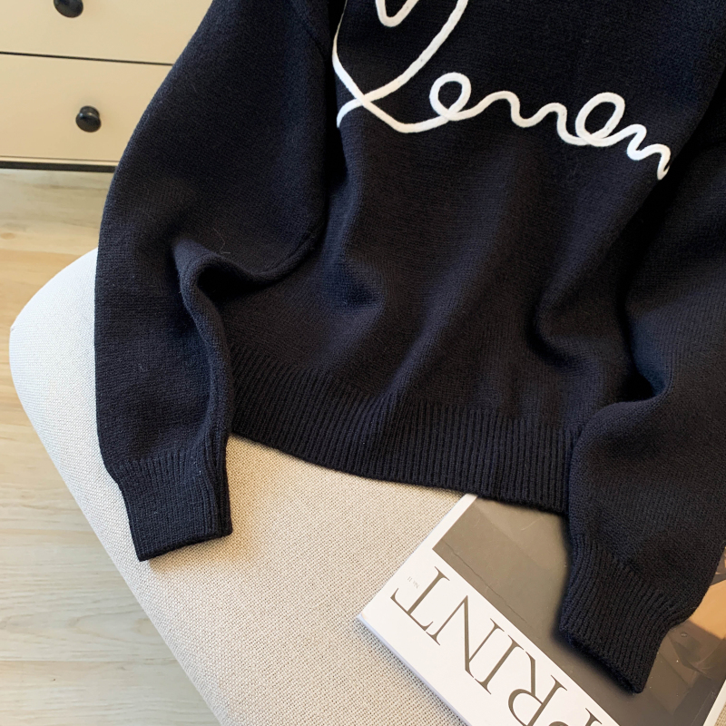 Embroidery all-match tops Casual sweater for women