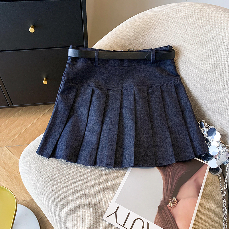 Pleated A-line slim high waist Korean style all-match skirt