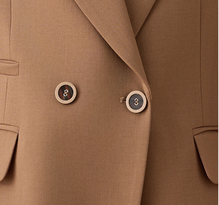 Temperament autumn business suit slim coat for women