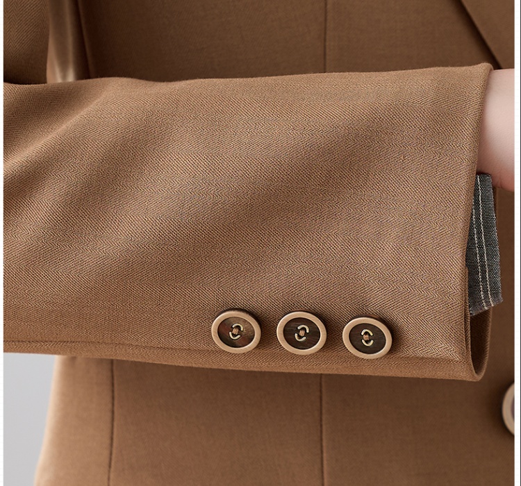 Temperament autumn business suit slim coat for women