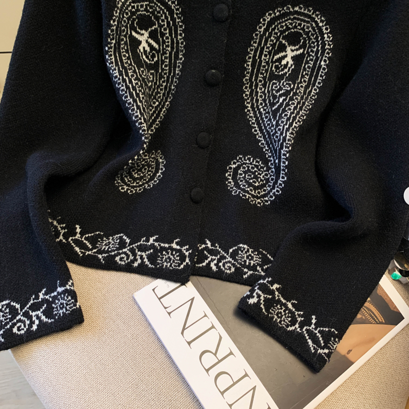 Retro niche autumn sweater pattern simple long sleeve tops