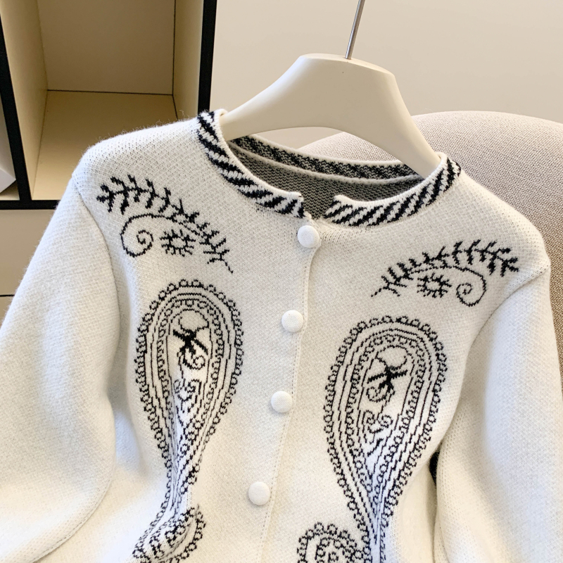 Retro niche autumn sweater pattern simple long sleeve tops