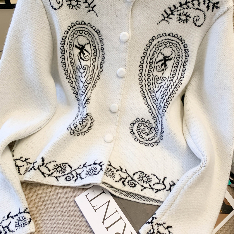 Retro niche autumn sweater pattern simple long sleeve tops