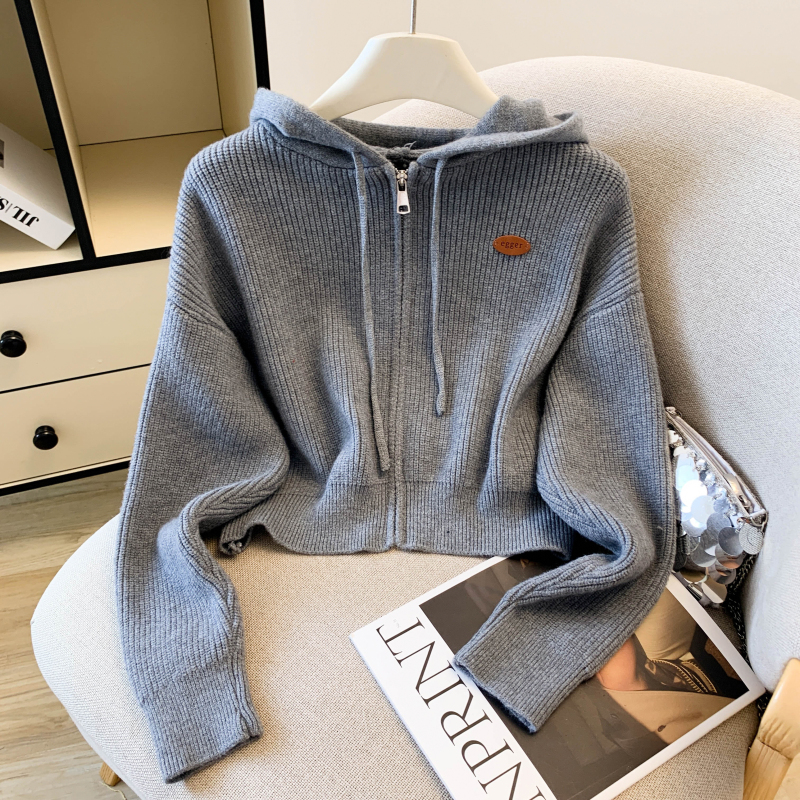 Zip coat autumn and winter cardigan for women