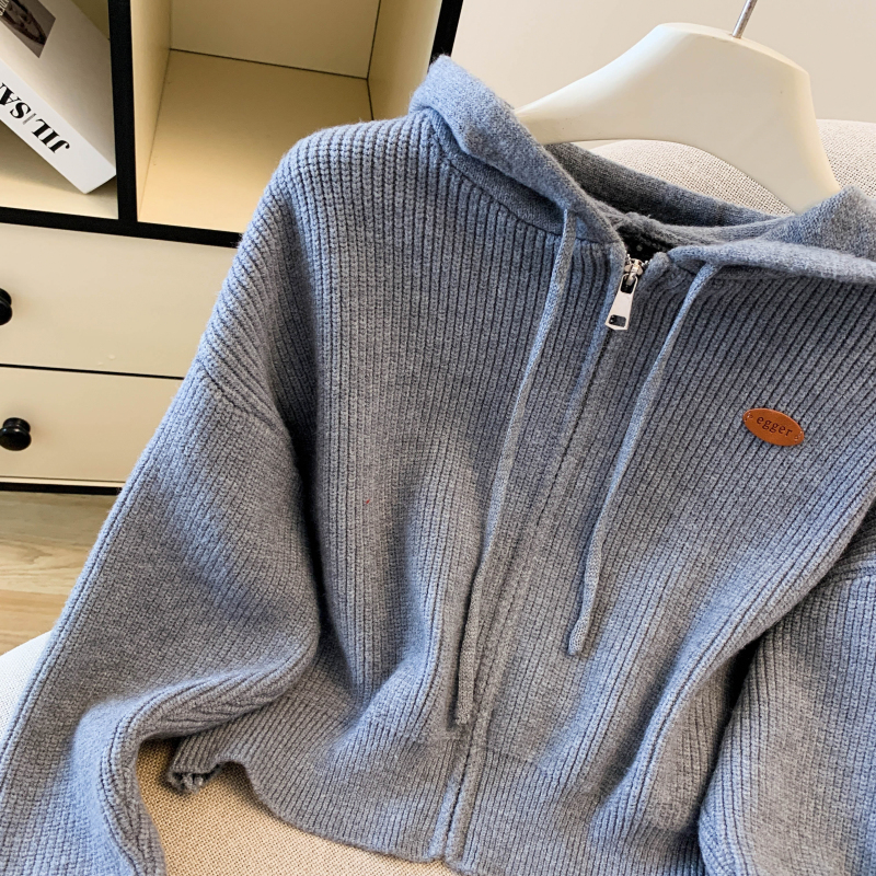 Zip coat autumn and winter cardigan for women