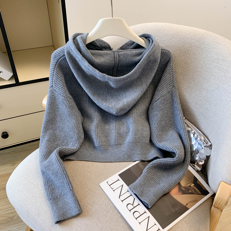 Zip coat autumn and winter cardigan for women
