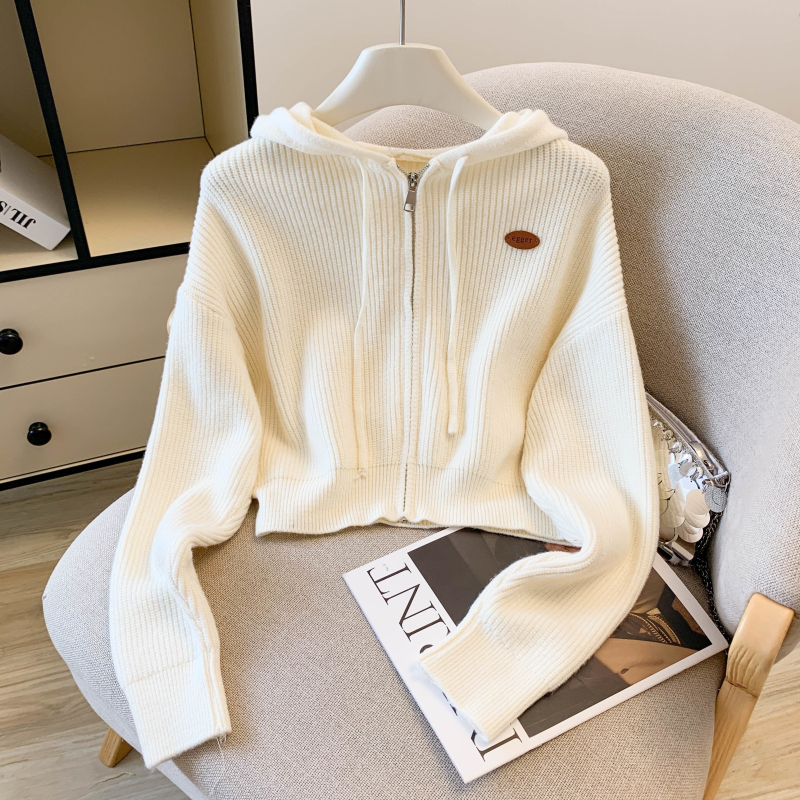Zip coat autumn and winter cardigan for women