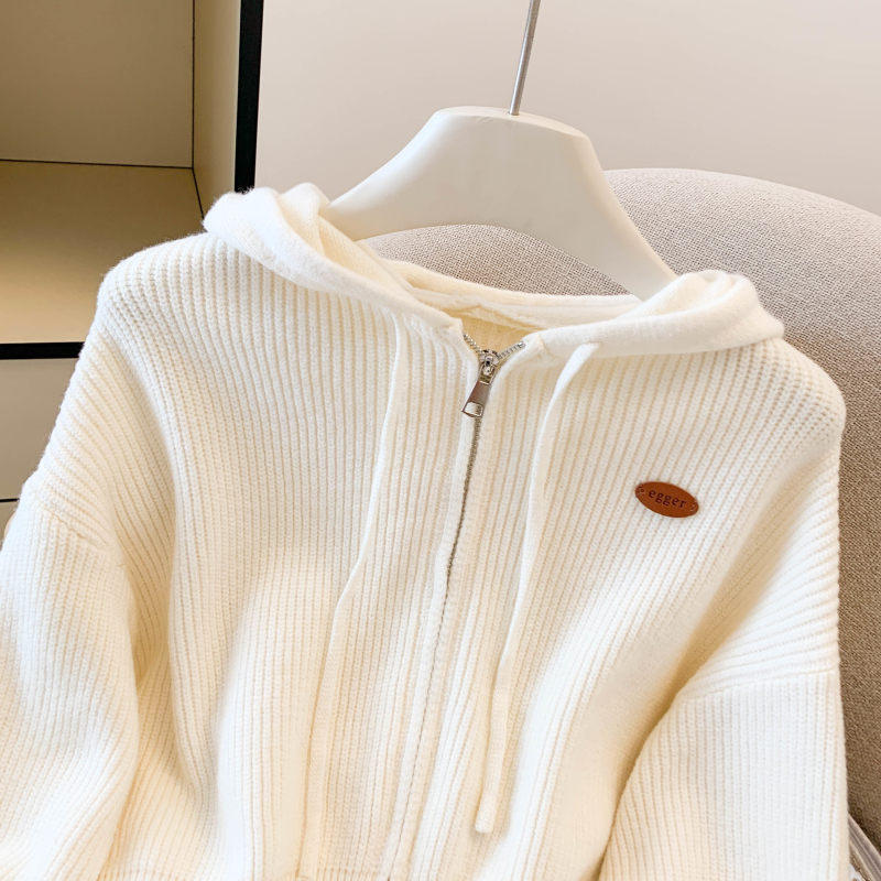 Zip coat autumn and winter cardigan for women