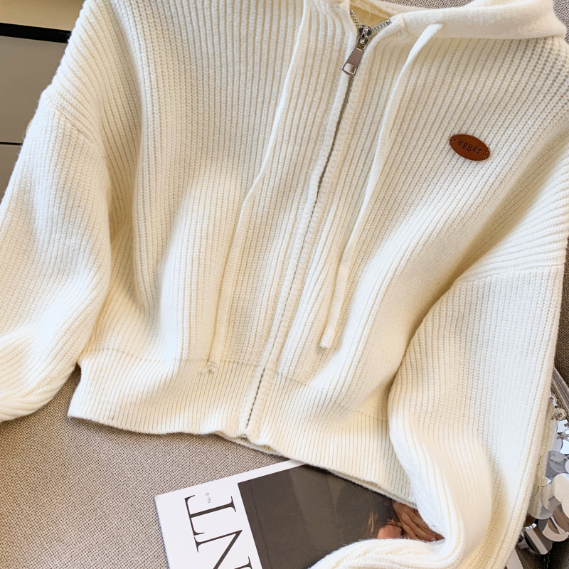 Zip coat autumn and winter cardigan for women