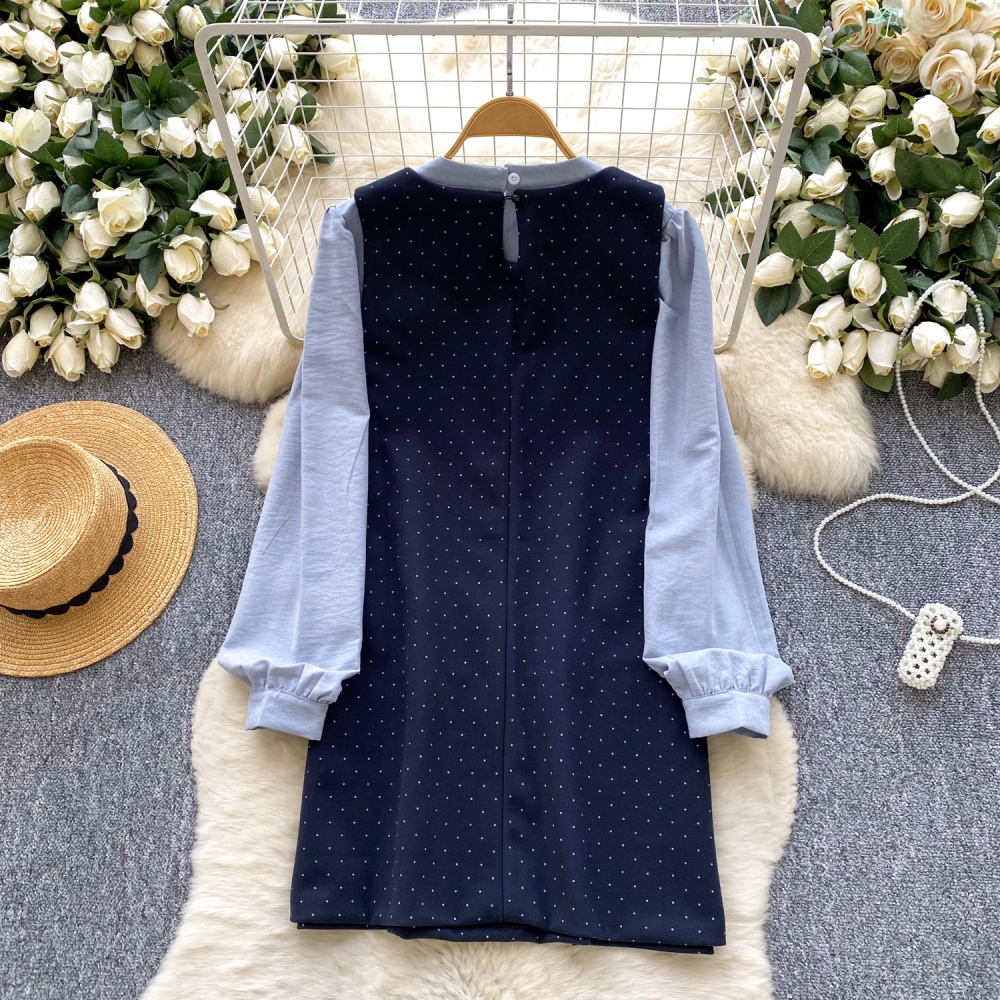 Autumn and winter dress polka dot shirt 2pcs set for women
