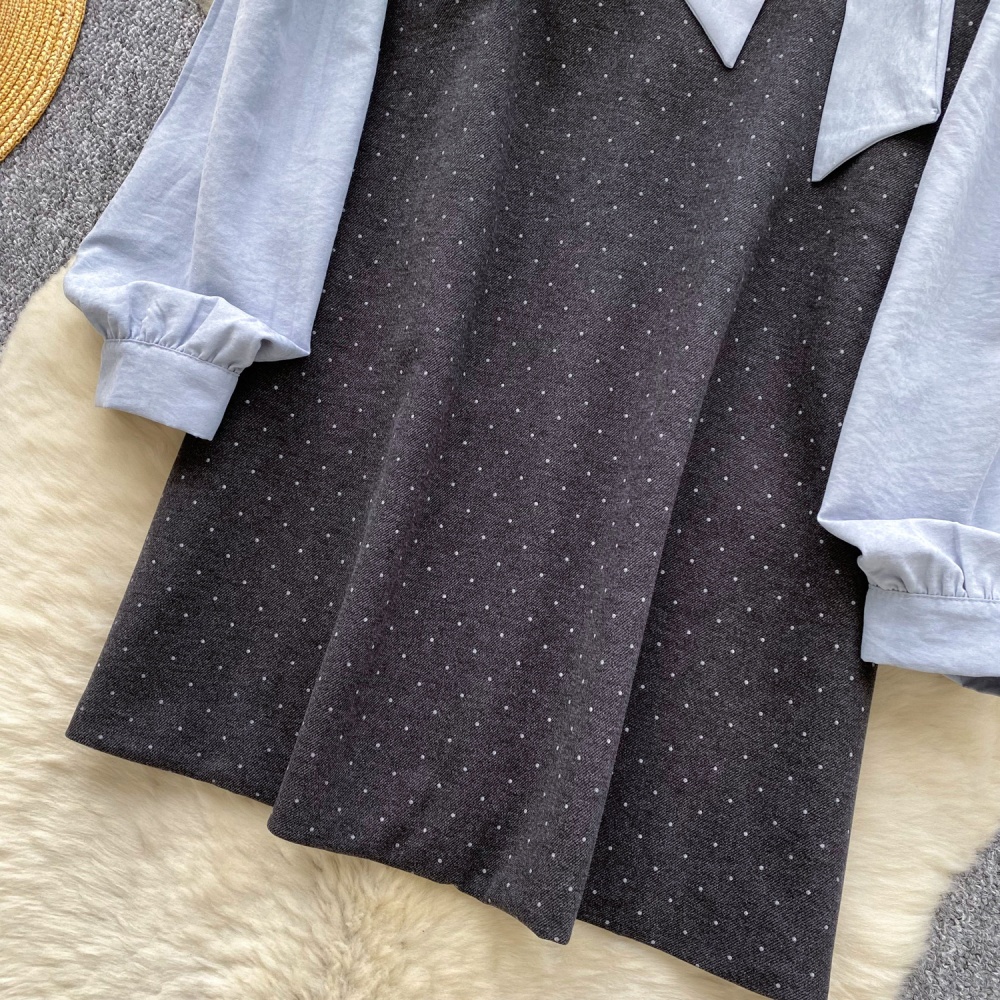 Autumn and winter dress polka dot shirt 2pcs set for women