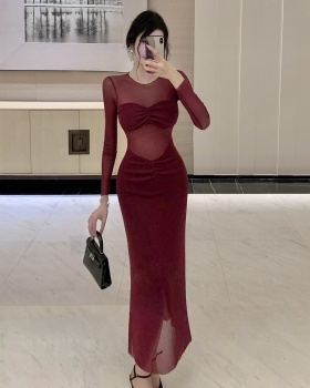 Slim formal dress long sleeve long dress for women
