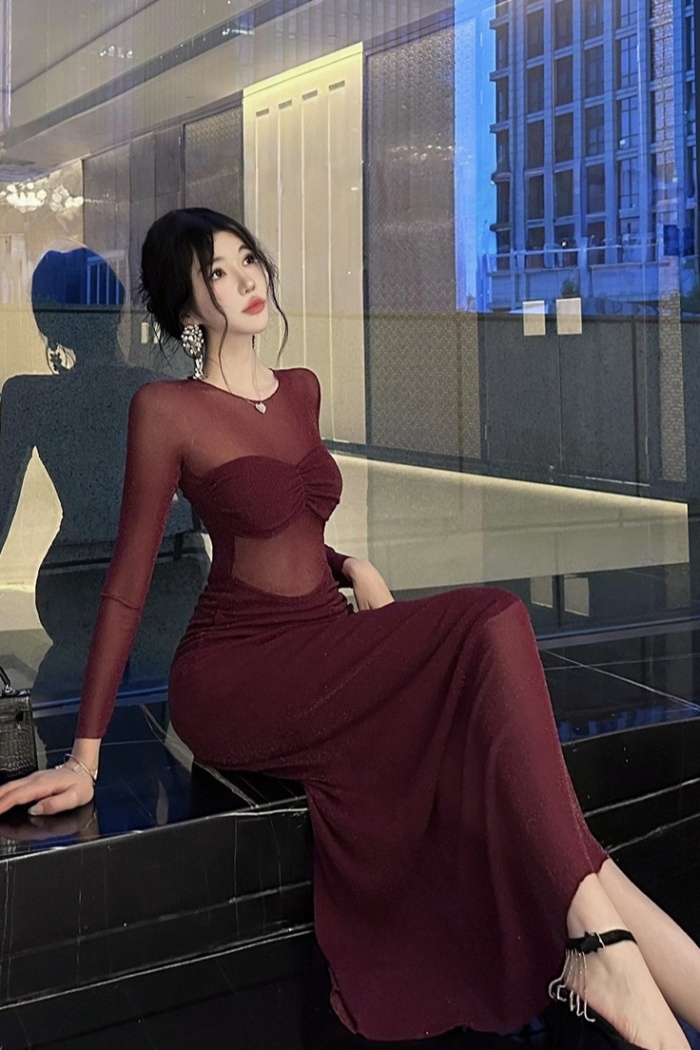 Slim formal dress long sleeve long dress for women