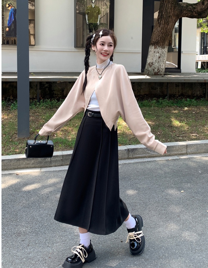 Autumn and winter short skirt pleated skirt for women