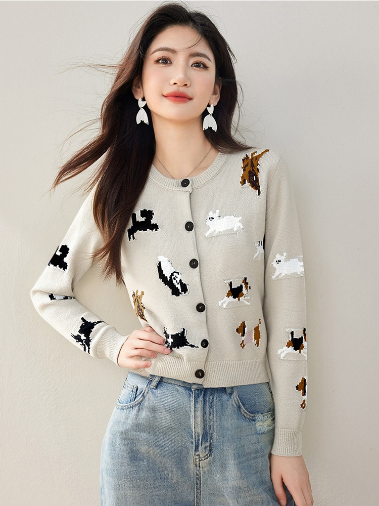Korean style niche cardigan autumn slim sweater for women