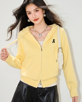 Hooded Korean style coat autumn knitted sweater for women