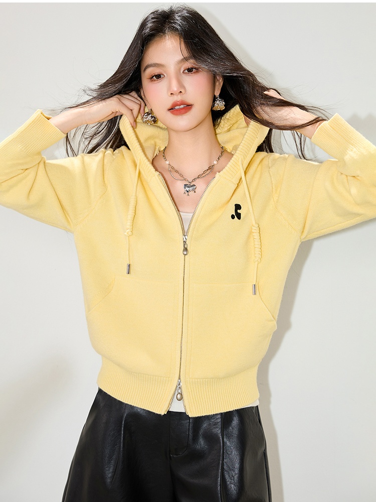 Hooded Korean style coat autumn knitted sweater for women