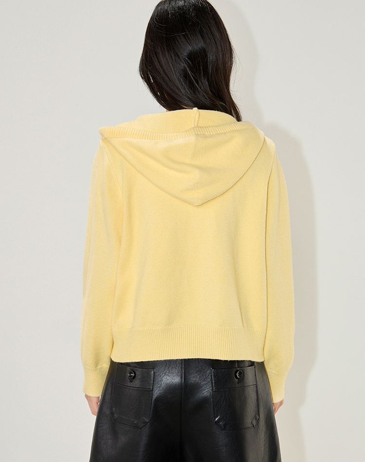 Hooded Korean style coat autumn knitted sweater for women